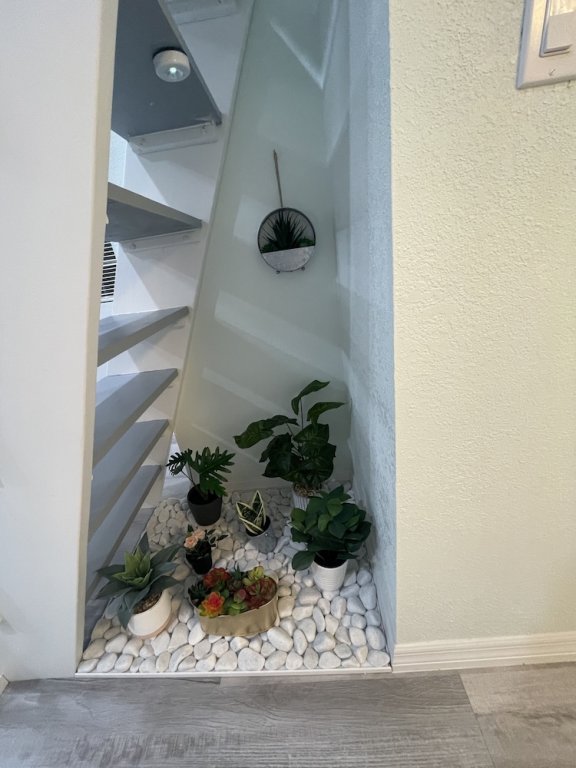 the tiny cottage in the springs