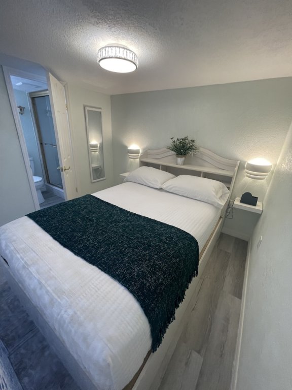 the tiny cottage in the springs