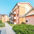 le primule f6 in sirmione