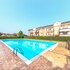 le primule f6 in sirmione