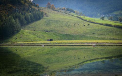 chalet am schneeberg see