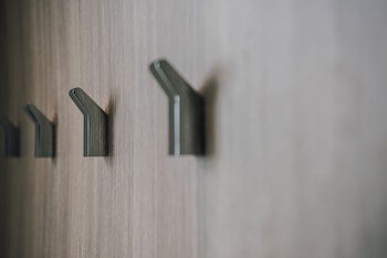 sunlight on the peninsula