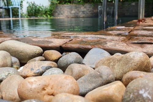 siem reap tevi residence