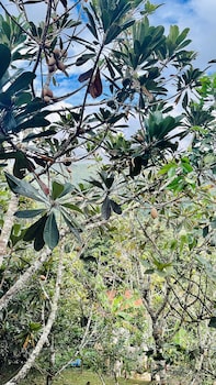 san francisco de macoris