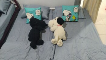 cloudview snoopy theme amber court genting highlands 1km from centre free wi fi