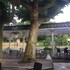 pavillon bleu