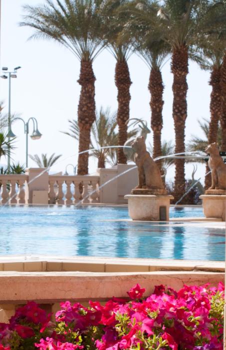 herods vitalis spa hotel eilat