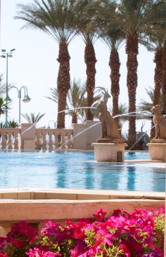 herods vitalis spa hotel eilat