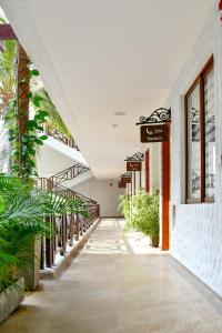 santa marta