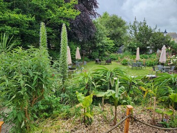 rose court holiday apartments