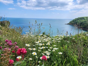 rose court holiday apartments