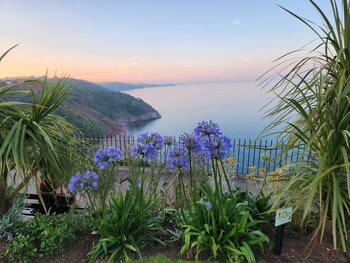 rose court holiday apartments