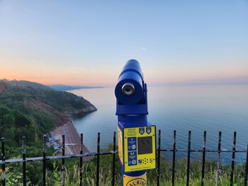 rose court holiday apartments