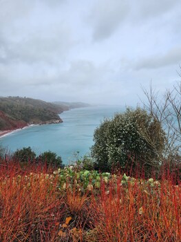 rose court holiday apartments