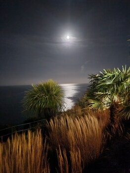 rose court holiday apartments