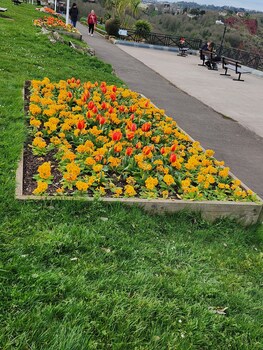 rose court holiday apartments