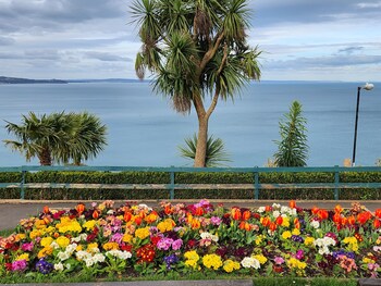 rose court holiday apartments