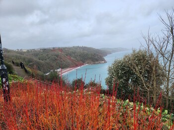 rose court holiday apartments