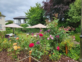 rose court holiday apartments