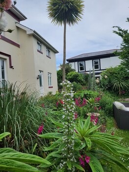 rose court holiday apartments