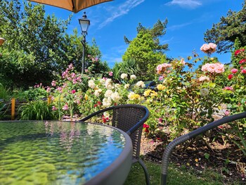 rose court holiday apartments