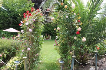 rose court holiday apartments