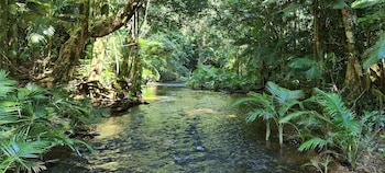seadreams mission beach
