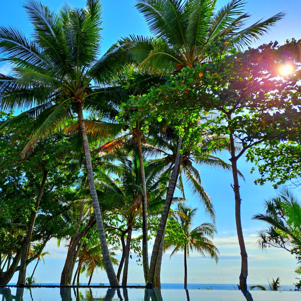 seadreams mission beach