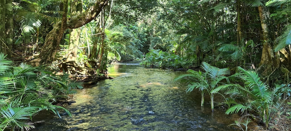 seadreams mission beach