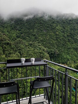 mountain and theme park views cozy suite