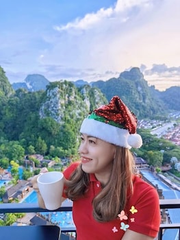 mountain and theme park views cozy suite