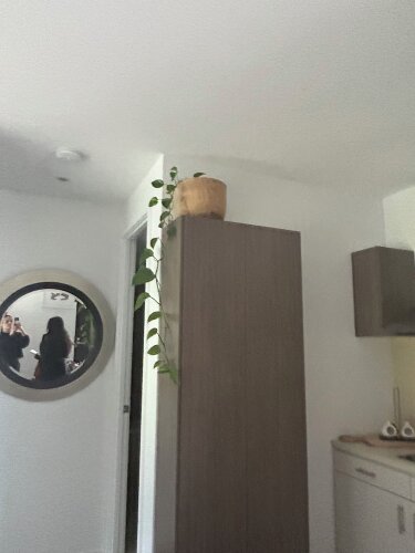 lovely 1 bedroom holiday apartment