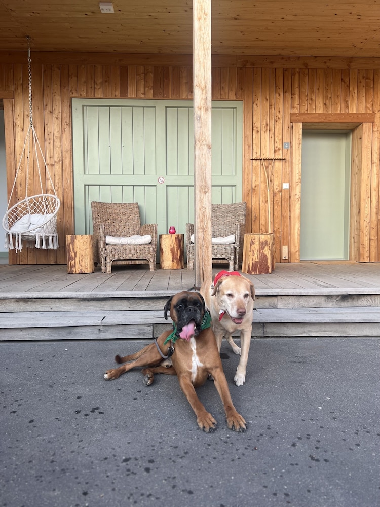 bike lodge spessart