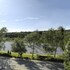 goslar
