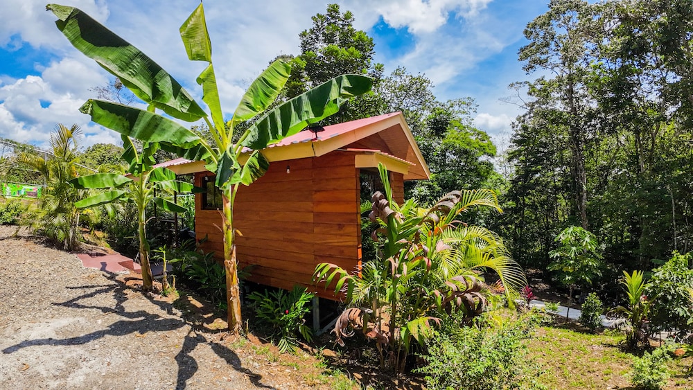 bungalows las iguanas arenal volcano