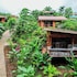 bungalows las iguanas arenal volcano