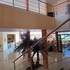 hotel los cedros inn