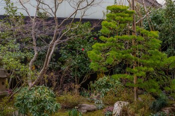 yumuraonsen midoriya