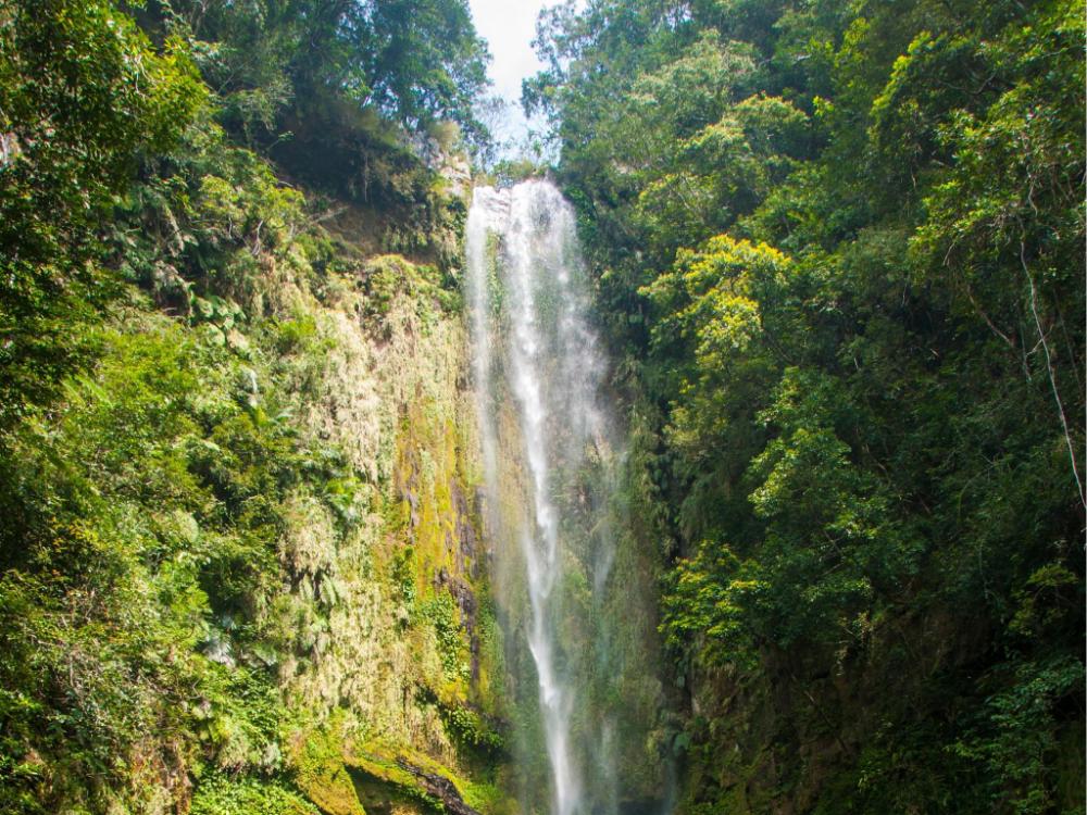 beauty garden hotel jiaoxi