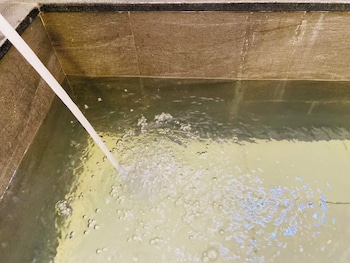 beauty garden hotel jiaoxi