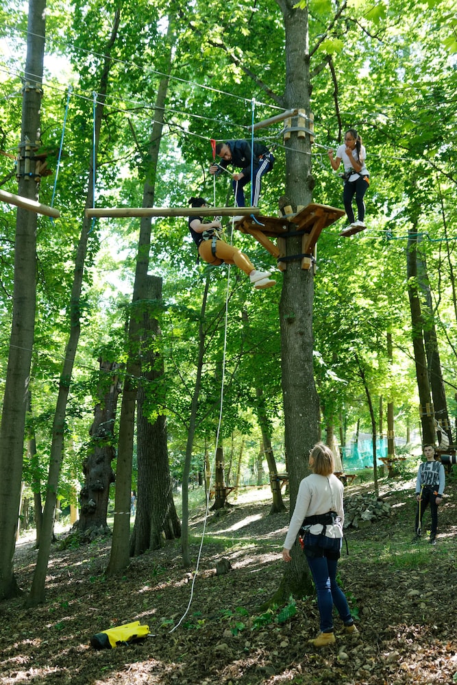 domaine lyon saint joseph