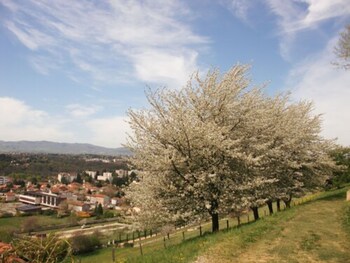 Domaine Lyon Saint Joseph,Lyon>>Francheville,3 star