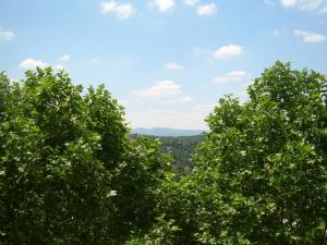 domaine lyon saint joseph