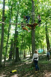 domaine lyon saint joseph