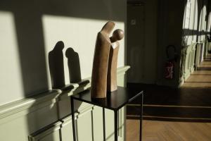 domaine lyon saint joseph