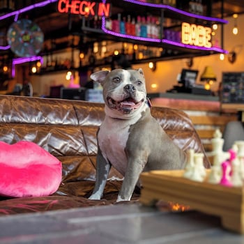 moxy houston downtown