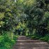 dullstroom