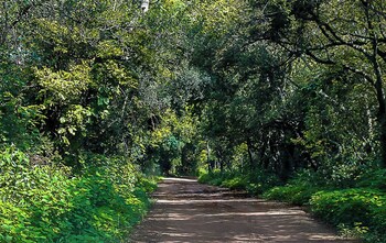 dullstroom