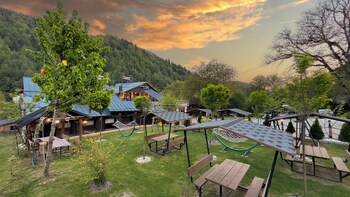 abant zumrut dag evi