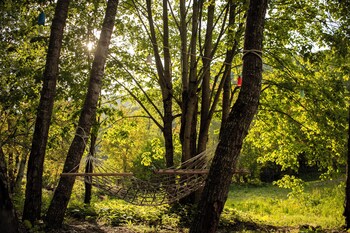 abant zumrut dag evi